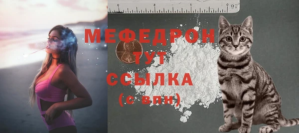 стаф Абинск