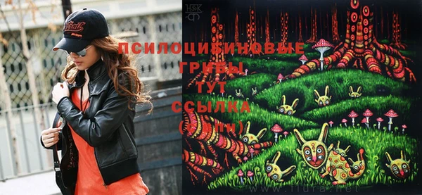 стафф Абаза