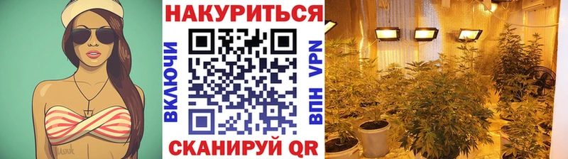 Марихуана OG Kush  Воткинск 